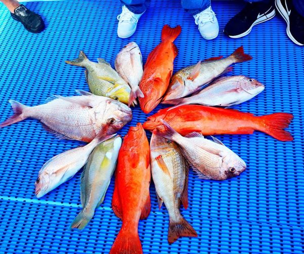 offshore